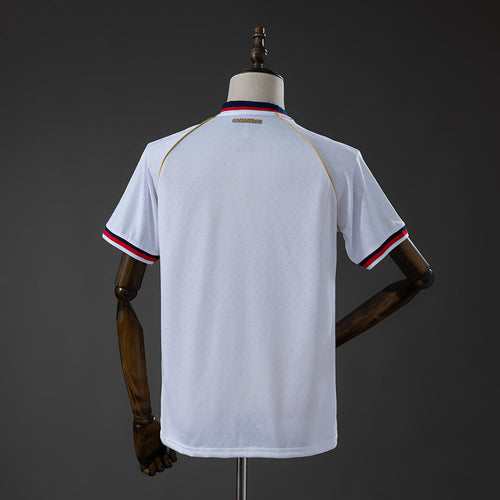 26/27  Palmeiras Training Shirt