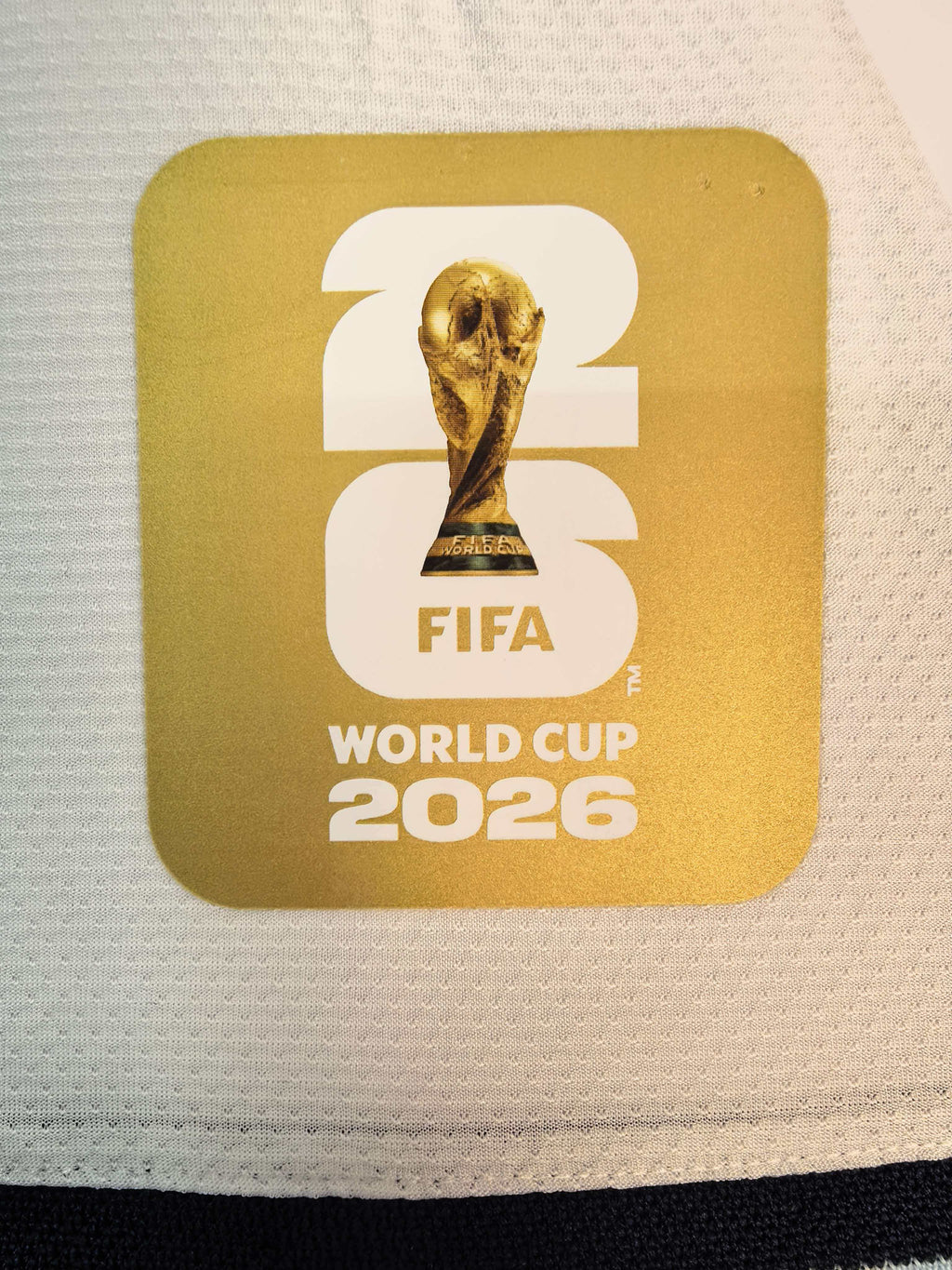 LM10 Argentina 2026 World Cup Home Signed Shirt